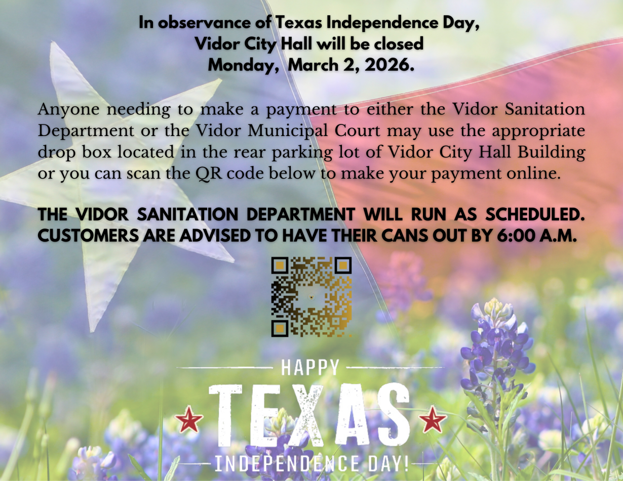 Texas Independence Day celebration poster